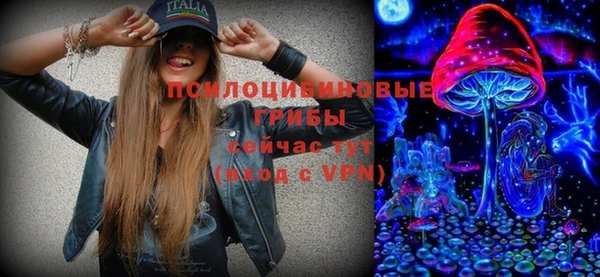 ГАЛЛЮЦИНОГЕННЫЕ ГРИБЫ Баксан