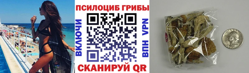 Псилоцибиновые грибы GOLDEN TEACHER  Купить где  Галич 